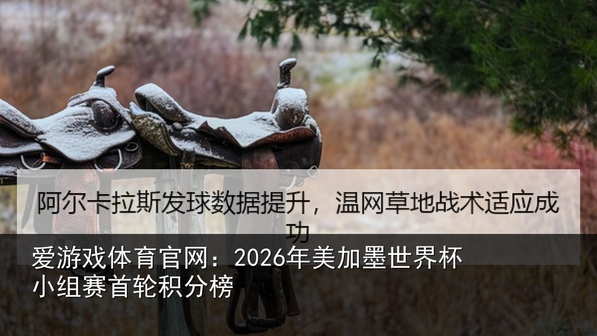 爱游戏体育官网：2026年美相关情况首轮积分榜